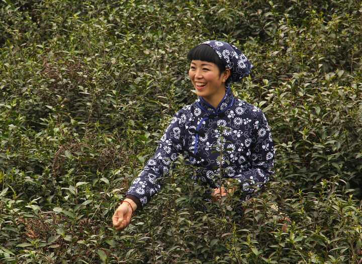 推荐6